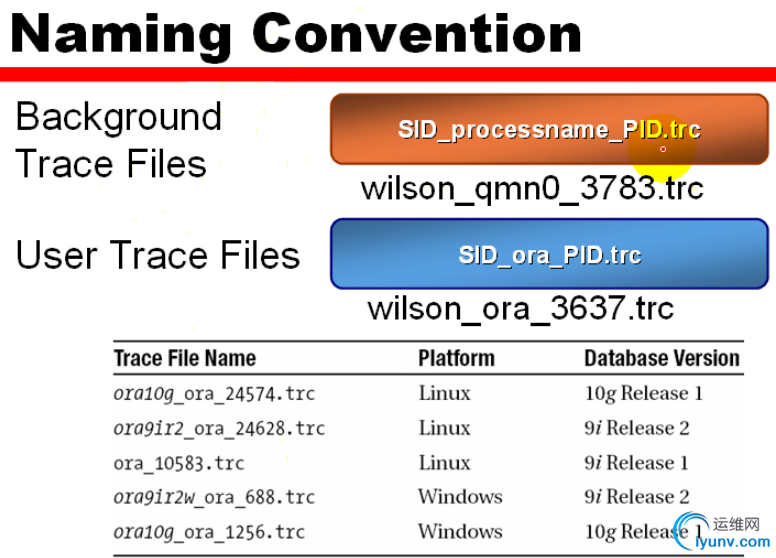 DSC0001.png