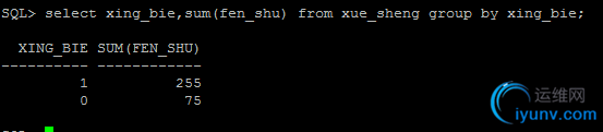 DSC00012.png
