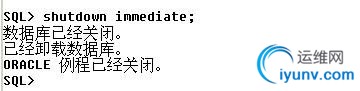 DSC00011.jpg