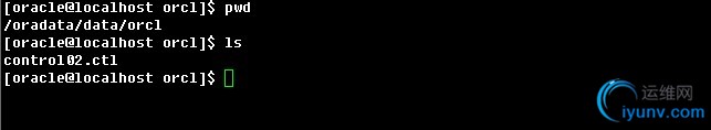 DSC0002.jpg