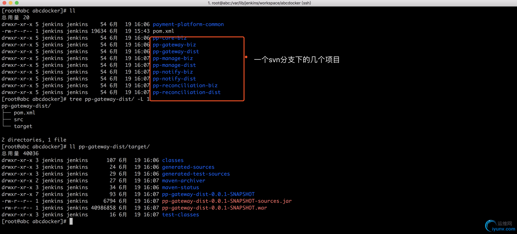 DSC00034.png