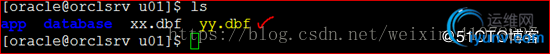DSC00015.jpg