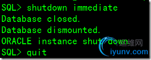 DSC00012.png