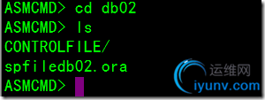 DSC00038.png