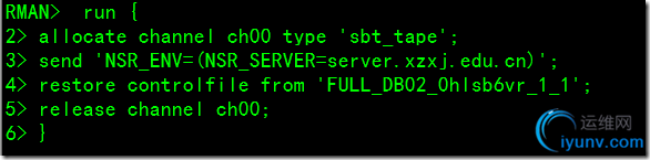DSC00037.png