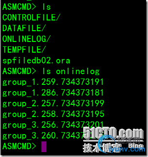 DSC00042.png