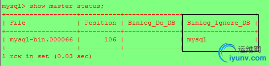 DSC00010.png