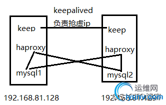 DSC0000.jpg