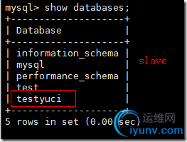 DSC0006.png