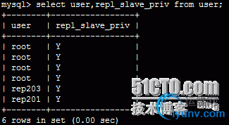 DSC0005.png