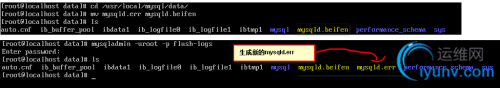 DSC0004.png