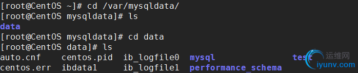 DSC00013.png