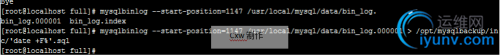 DSC00010.png