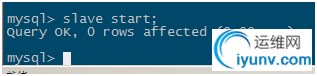 DSC0007.png
