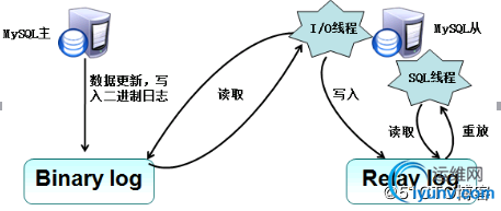 DSC0000.jpg