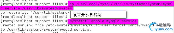 DSC00021.png