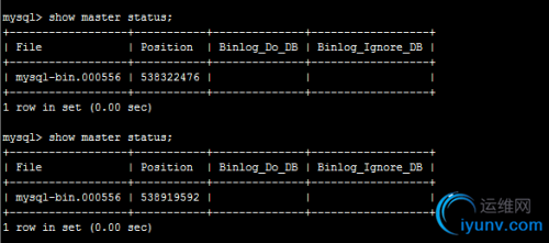 DSC0005.png