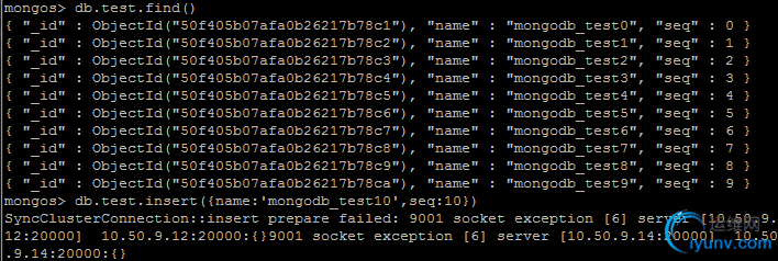DSC00011.png