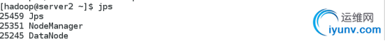 DSC00031.png