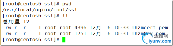 DSC0004.png