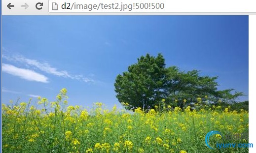 DSC00025.jpg