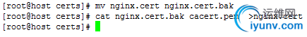 DSC00057.png