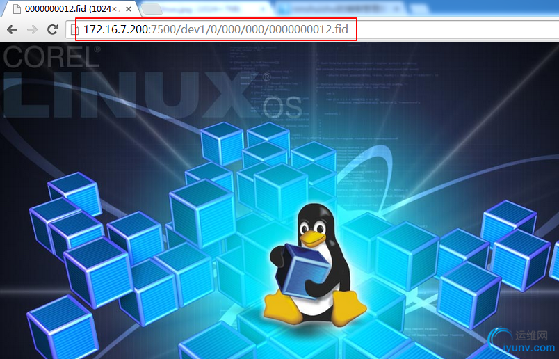 DSC0008.png