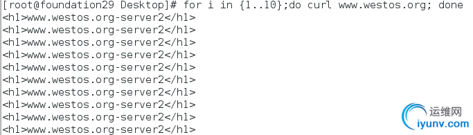 DSC00031.png