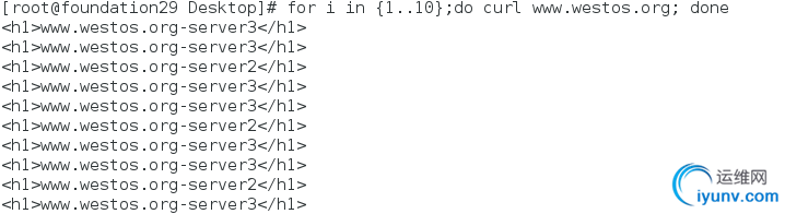 DSC00033.png