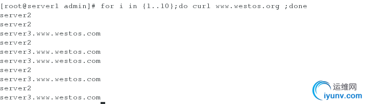 DSC00024.png