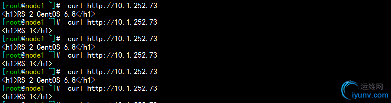 DSC00011.png