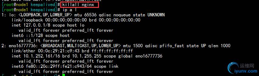DSC00023.png