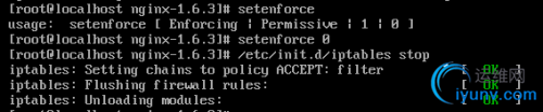 DSC00012.png