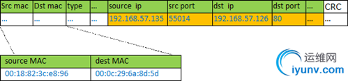 DSC0006.png